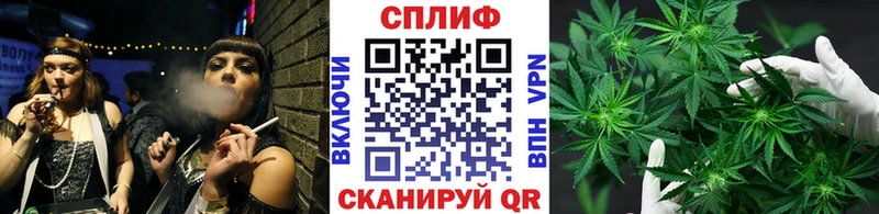 даркнет сайт  Северская  Бошки марихуана Bruce Banner 
